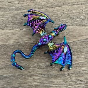 New Rainbow Oil Slick Type Dragon Brooch